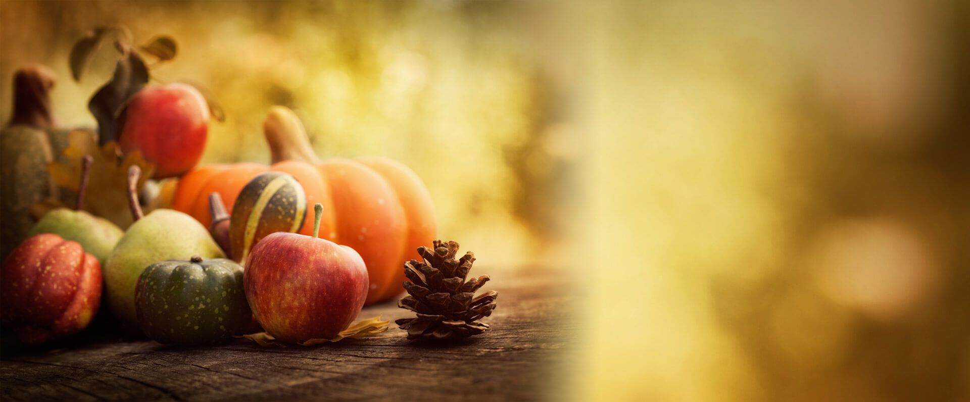 Home Page Coteau Valley Federal Credit Union